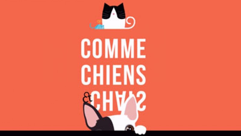 Comme chiens et chats